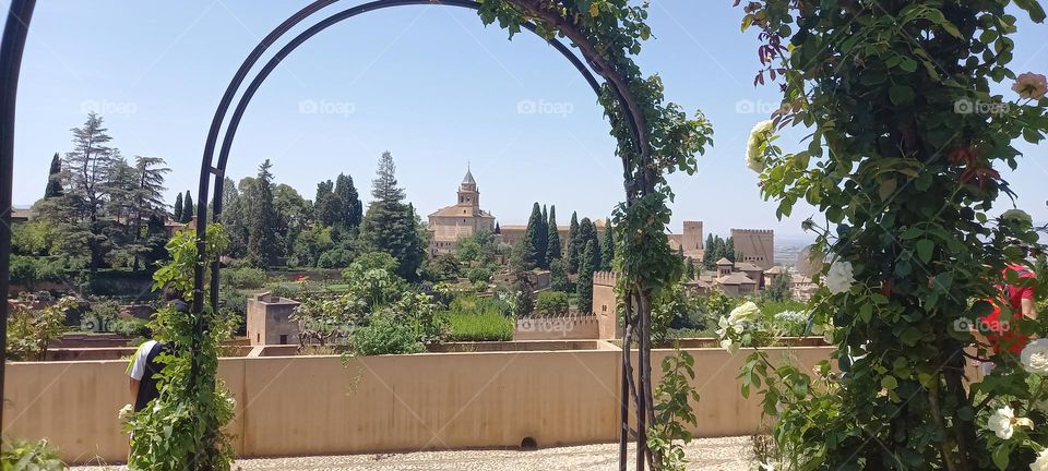 Arco patio Alhambra