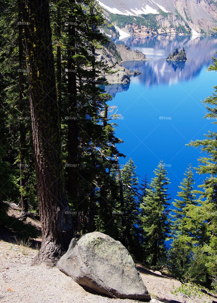 The rugged Phantom Ship seen through beautiful fir trees at Crater Lake National Park in Southern Oregon on a sunny summer morning. 