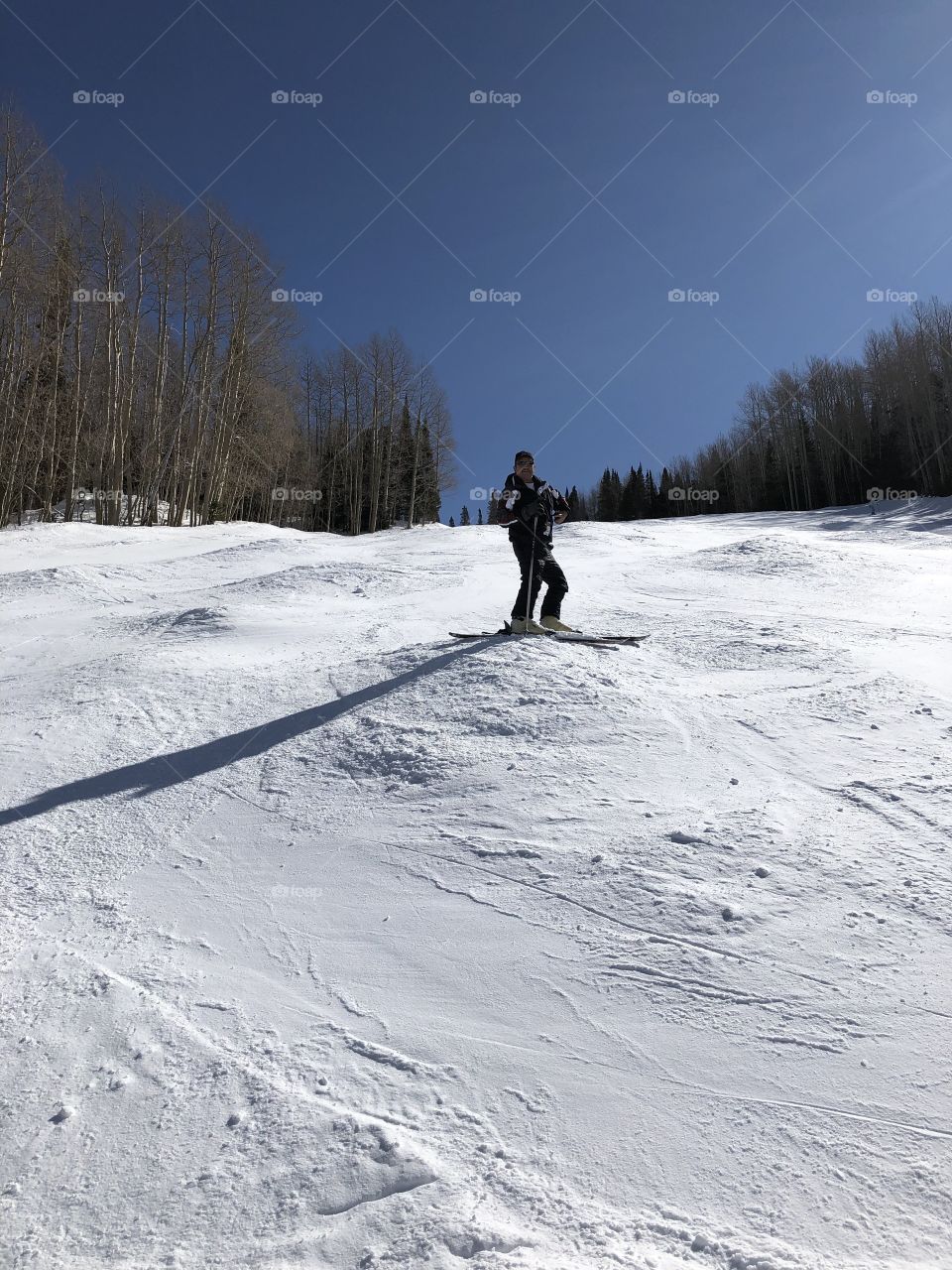 Skier