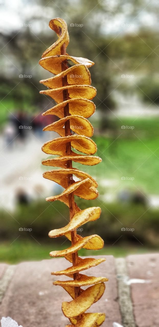 potato fries on stick
