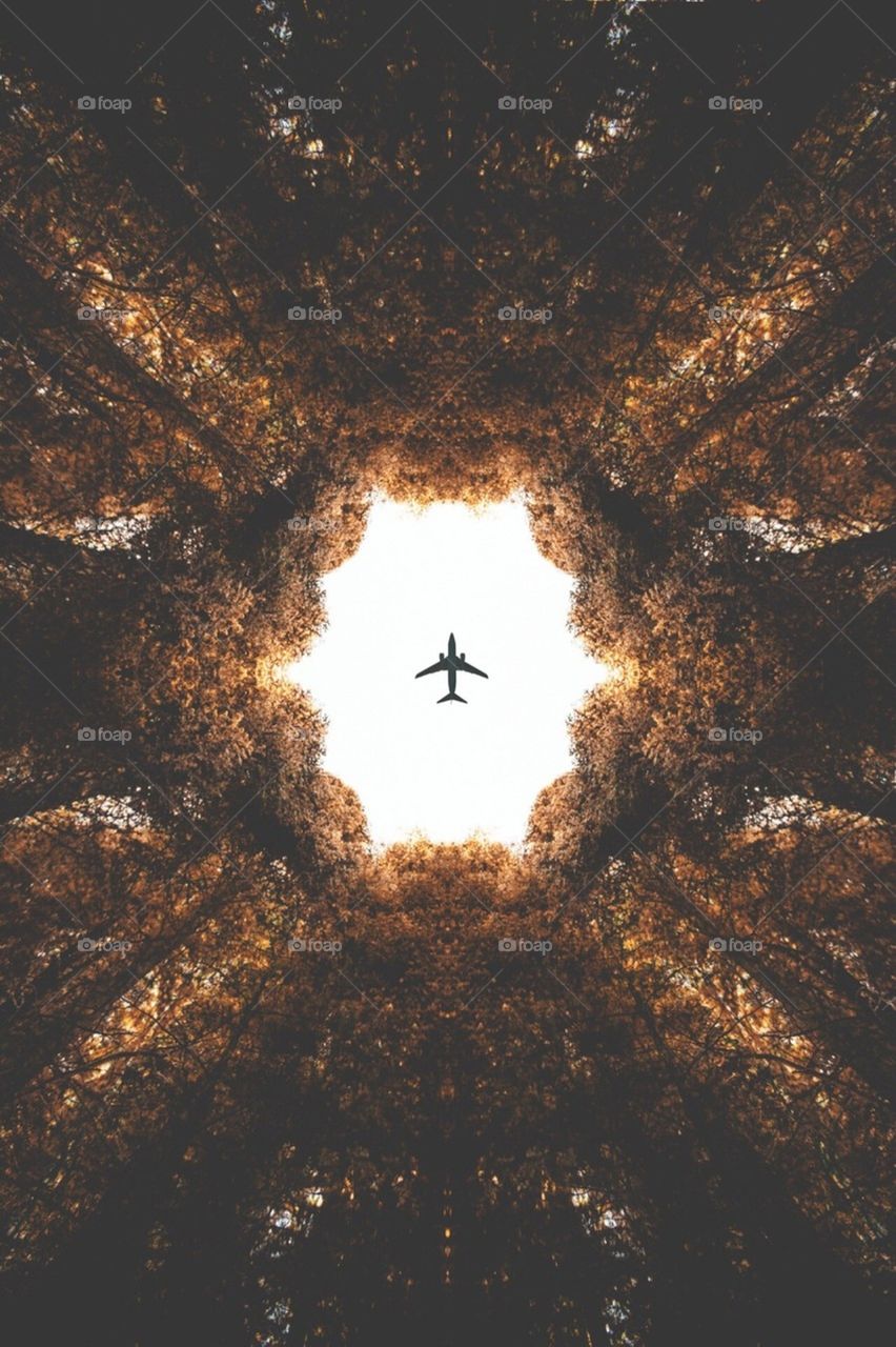 natureza é um avião