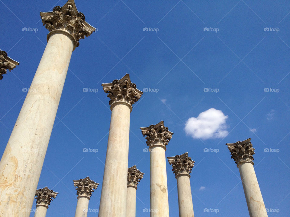 US National Arboretum Capitol Columns