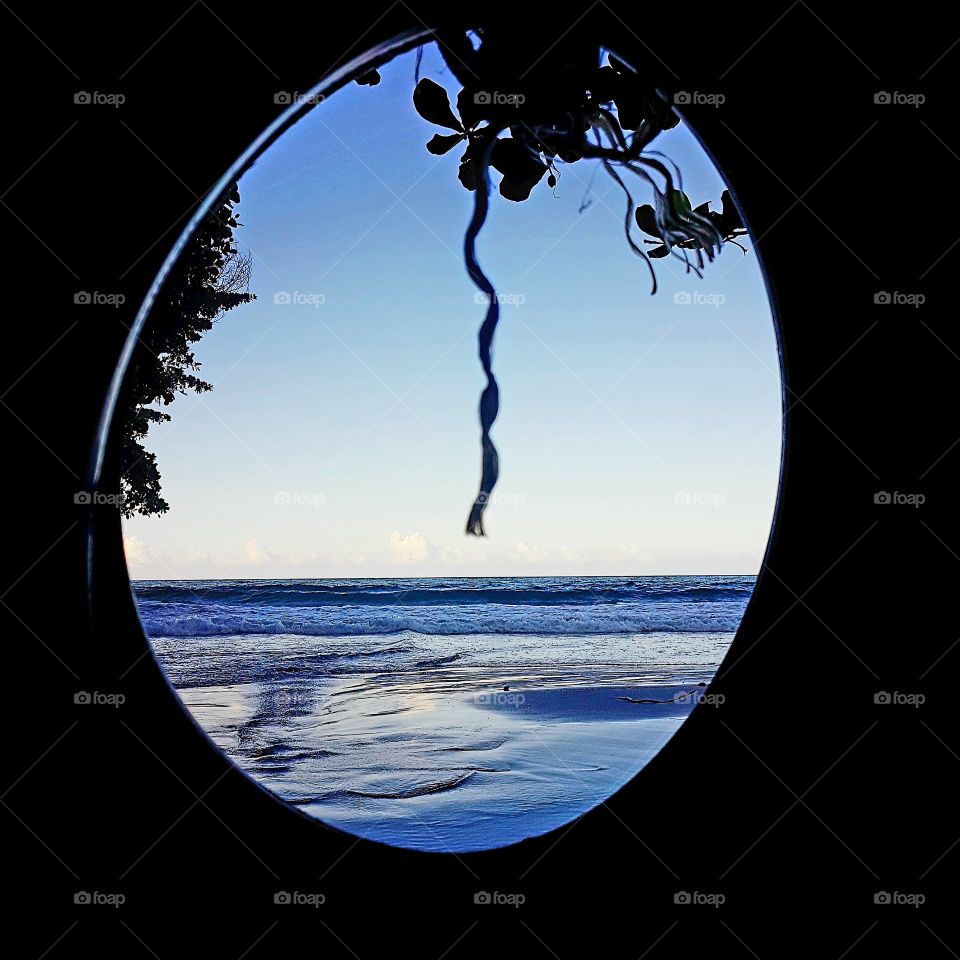 Tire-swing on the beach