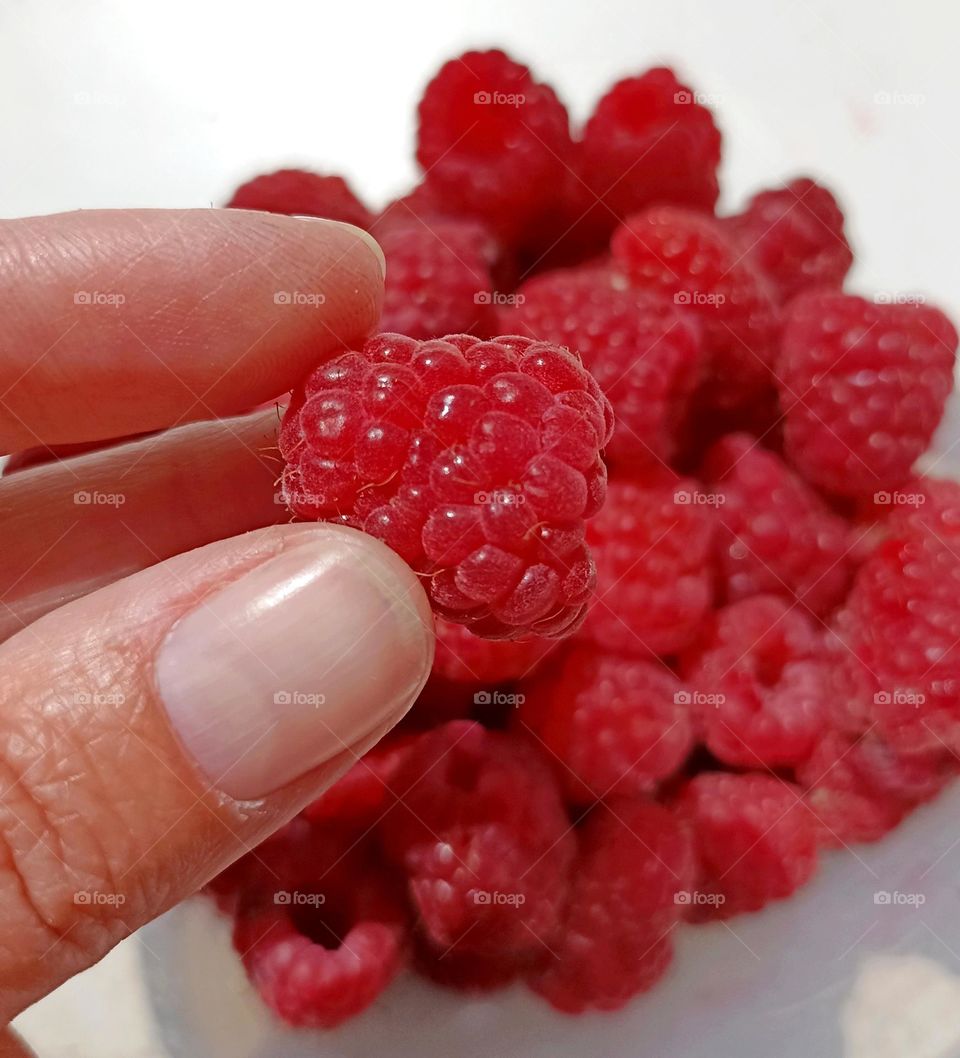 raspberry in the hand, tasty summer food, mobile photography