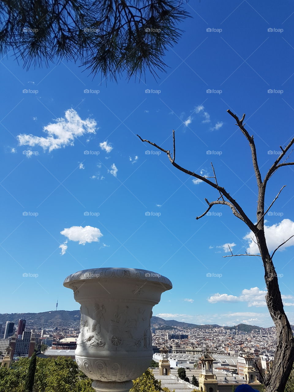 view of the city Barcelona