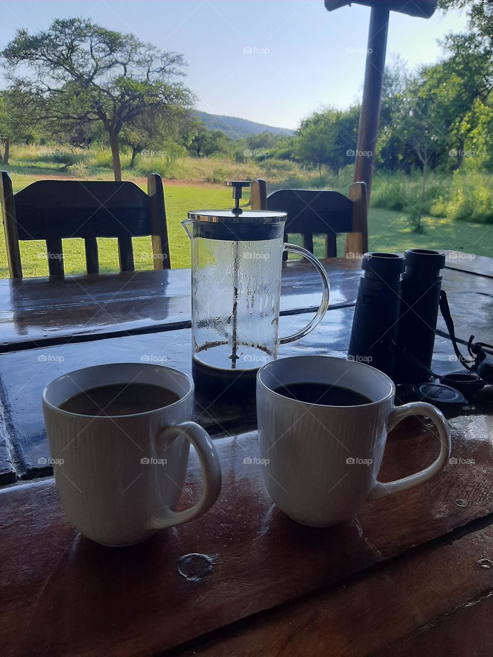 Coffee and bird watching in the bushveld