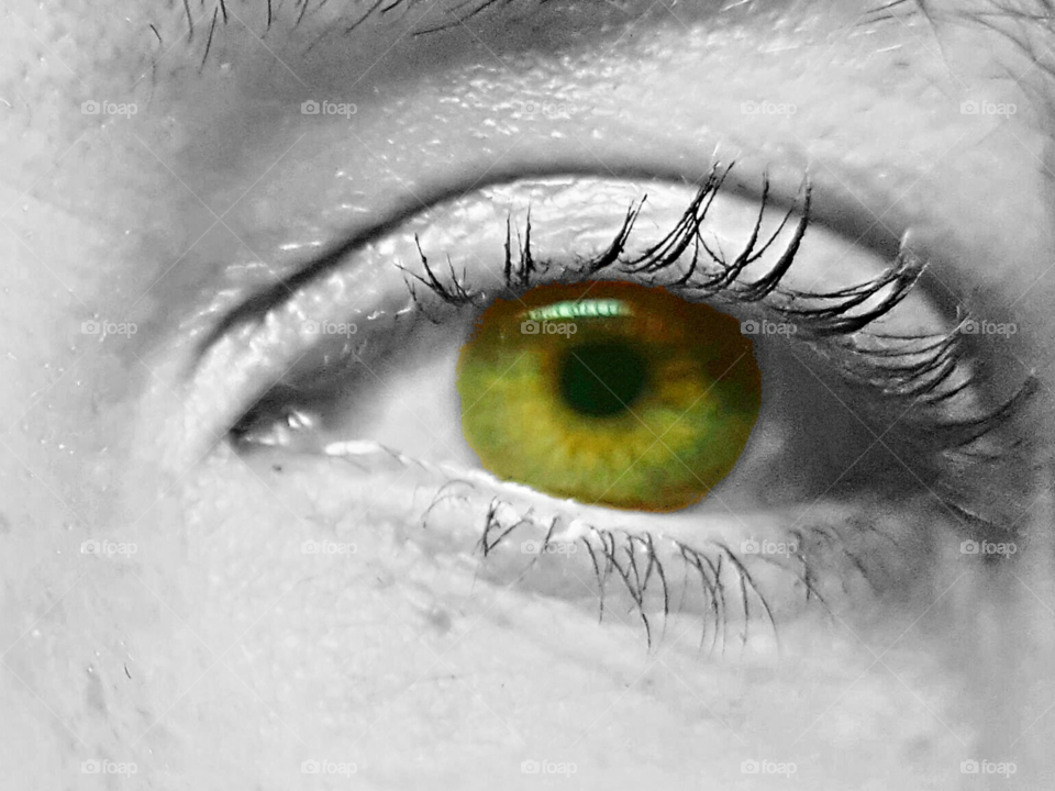 Green/Brown eye