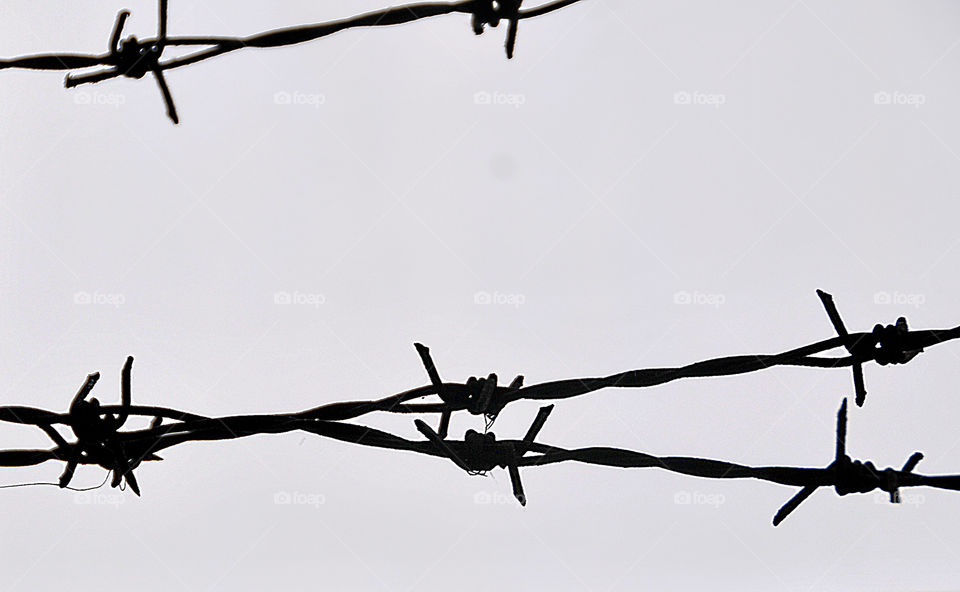 barb wire
