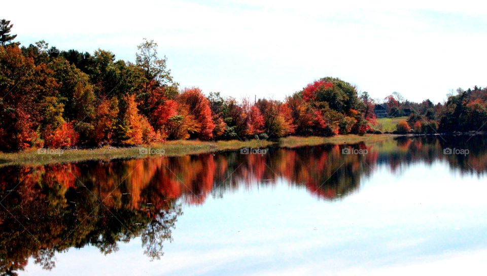 Fall colours in the banks of the LaHave River 