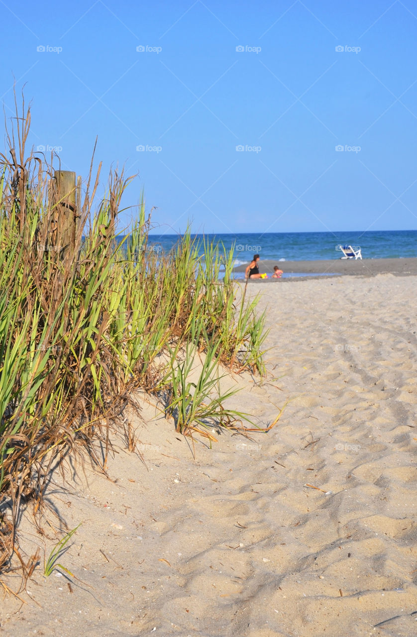 Beach scene 