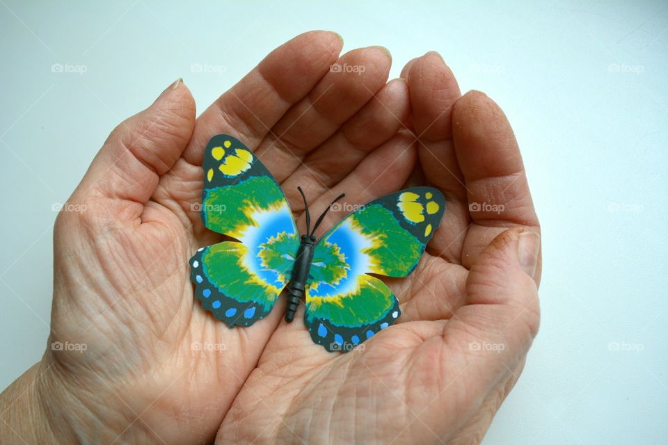 Hand, Nature, Butterfly, Woman, People