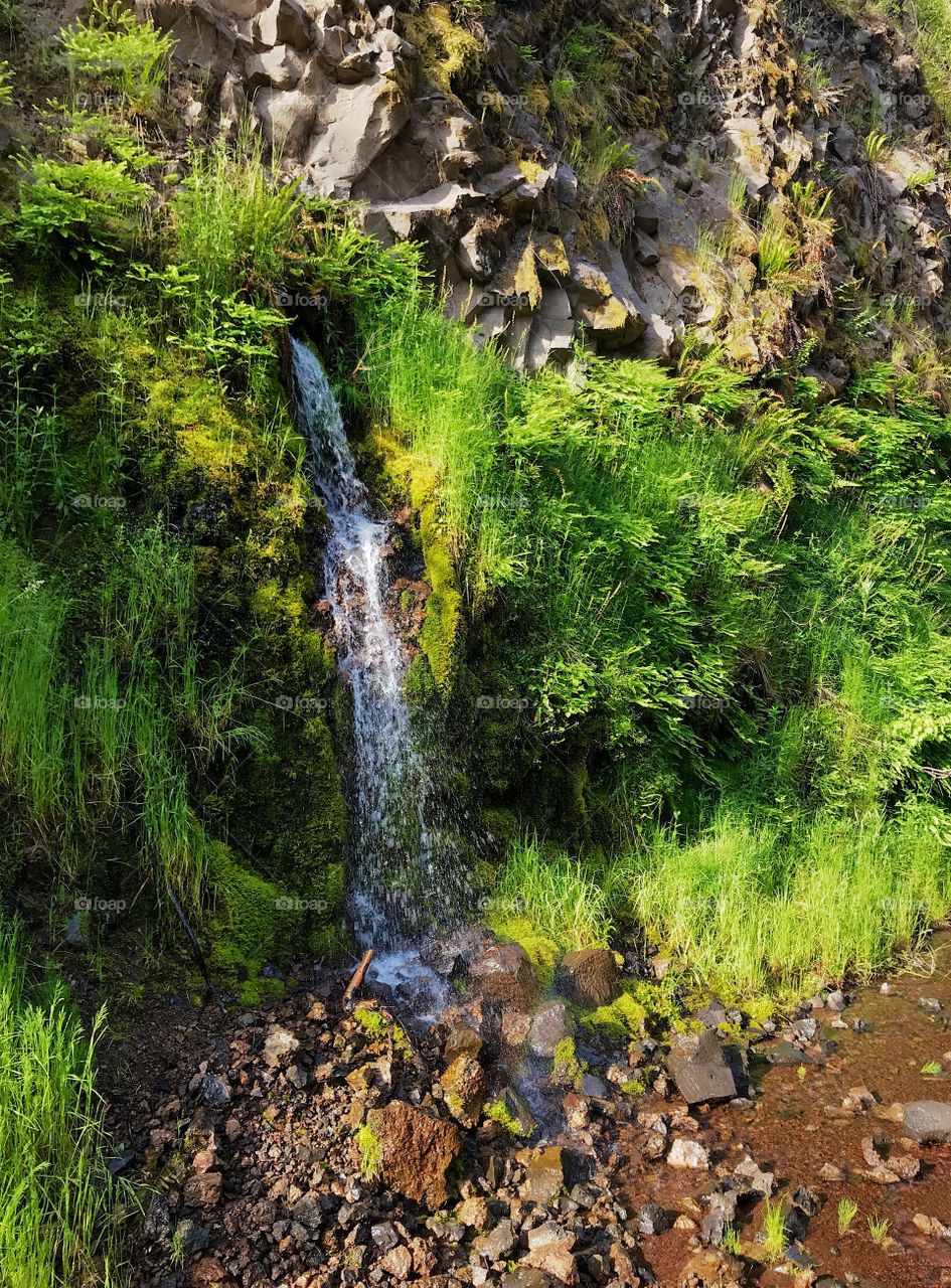 Small waterfall and creek created from runoff on the side of a lush green mountain in Western Oregon 