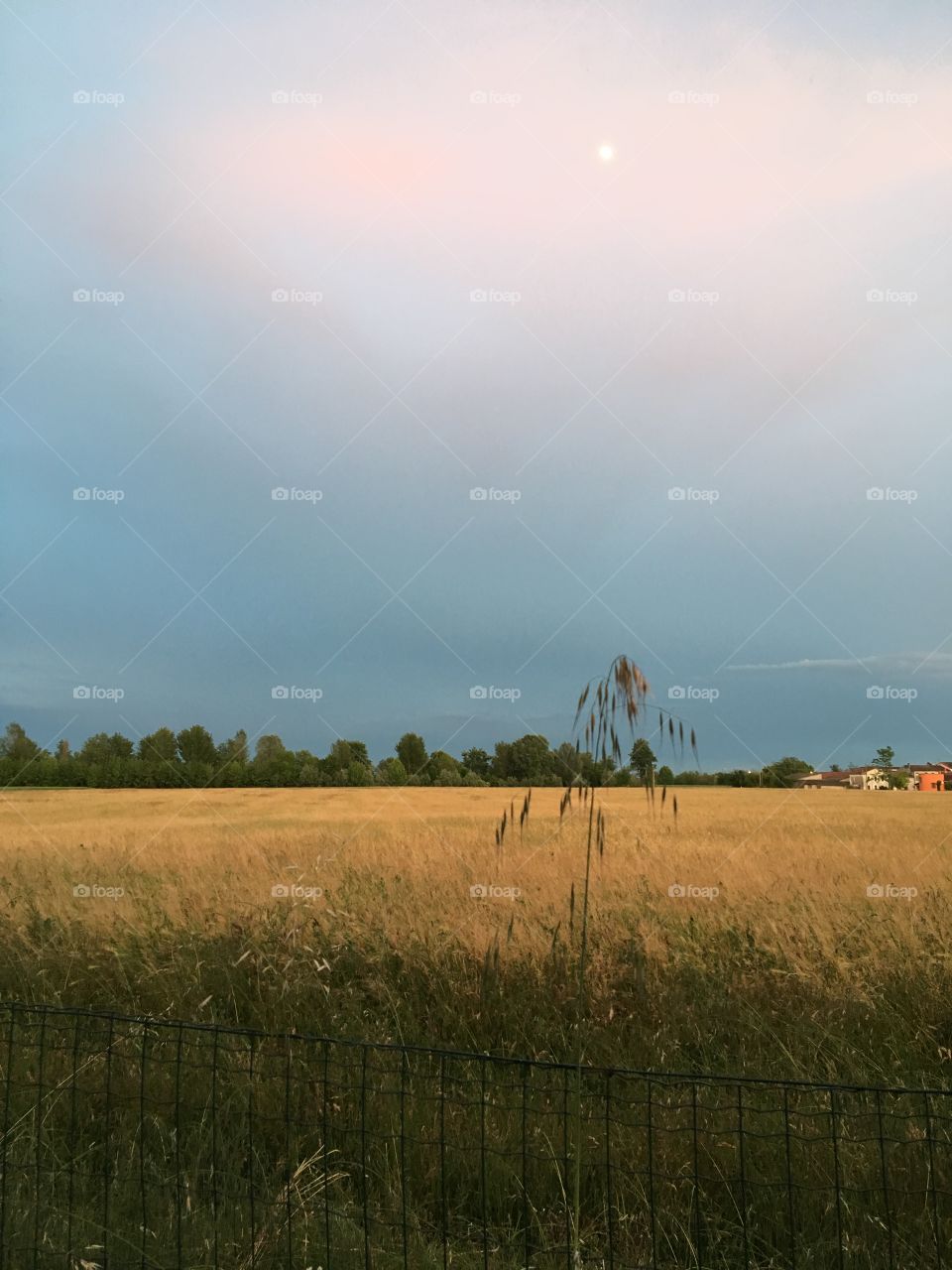 Landscape, Agriculture, Farm, Field, Sky