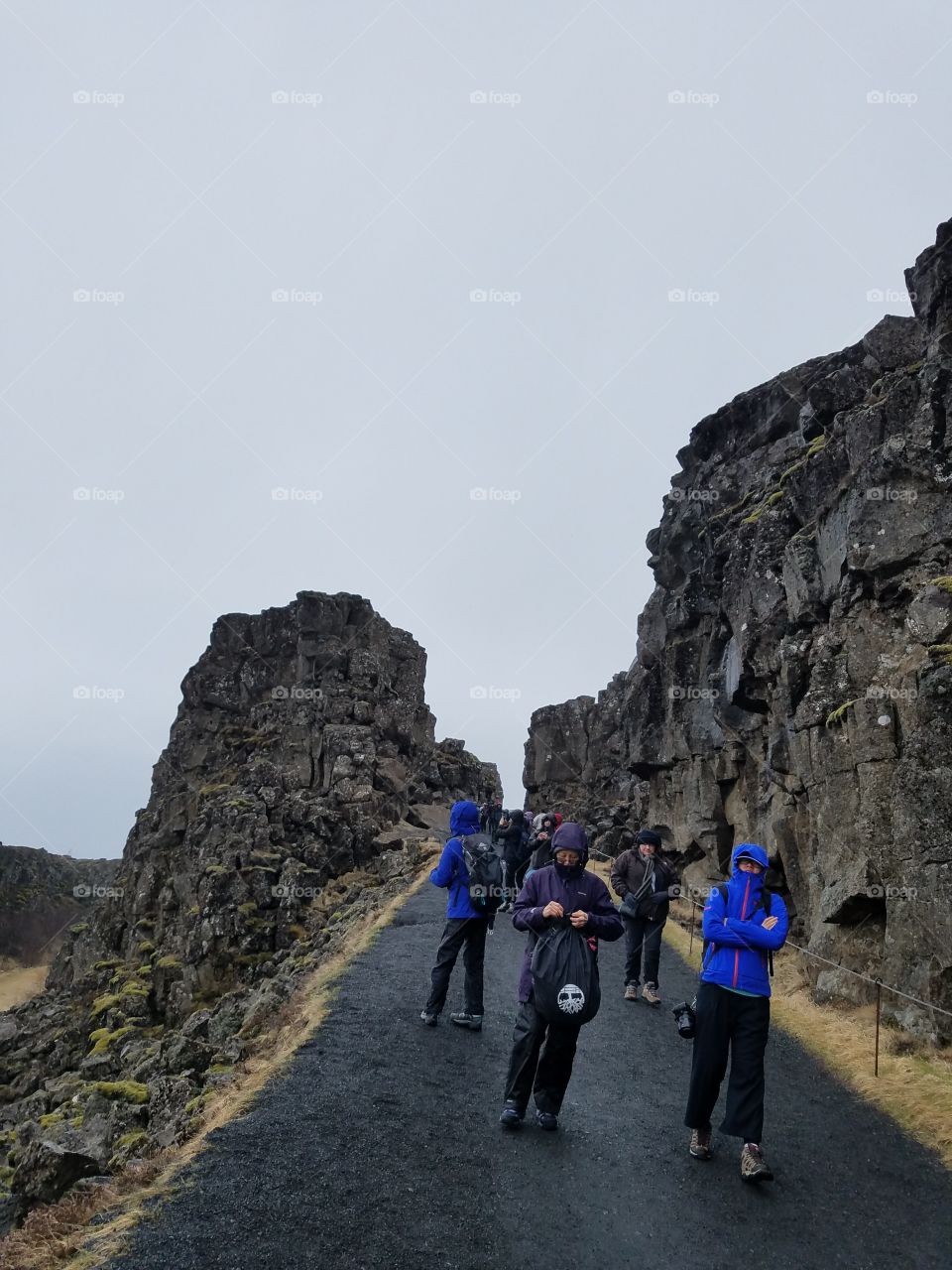 mid Atlantic ridge walk