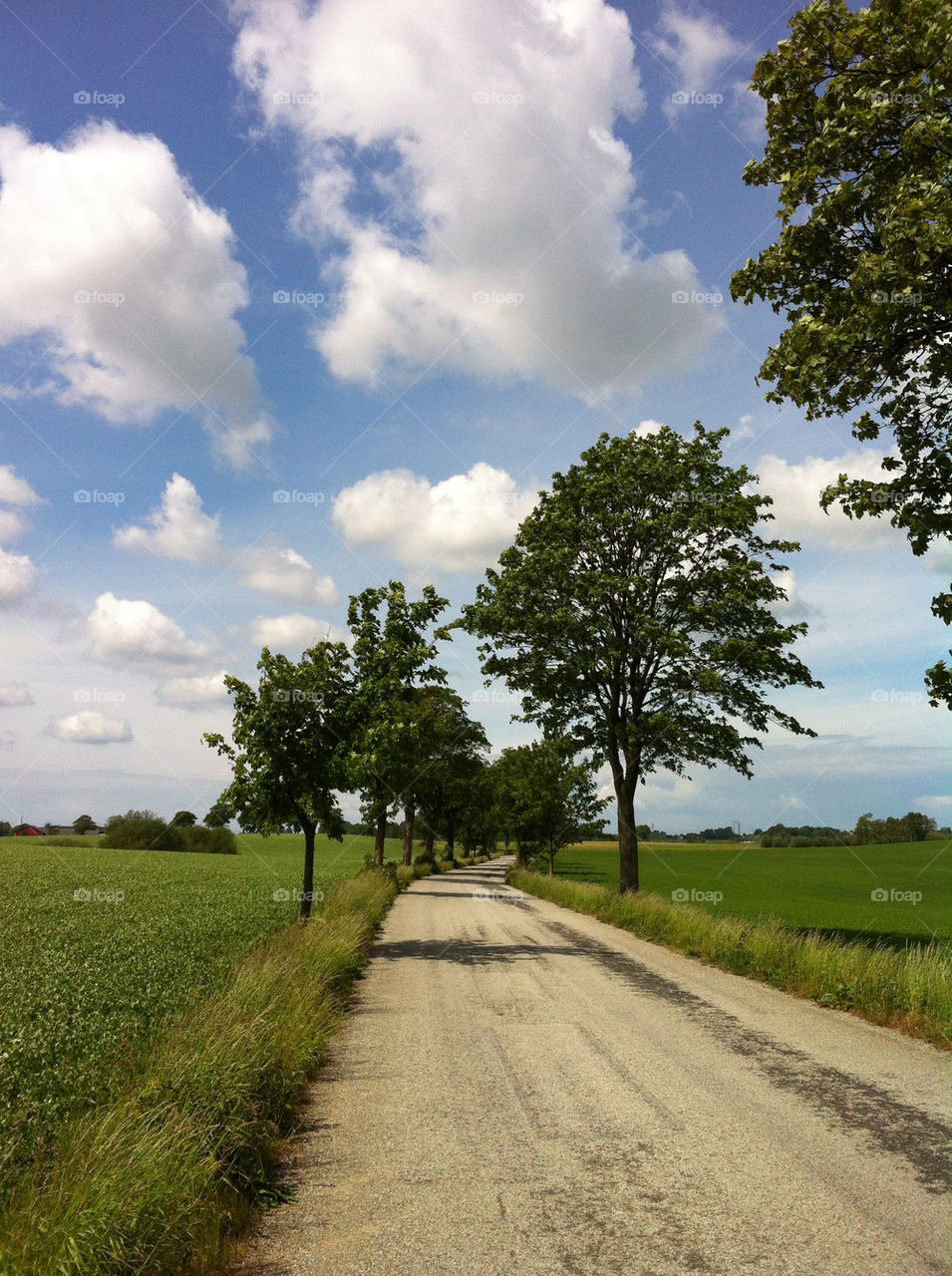 landscape sky green field by hookolsson