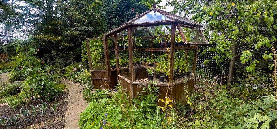 Greenhouse. Garden