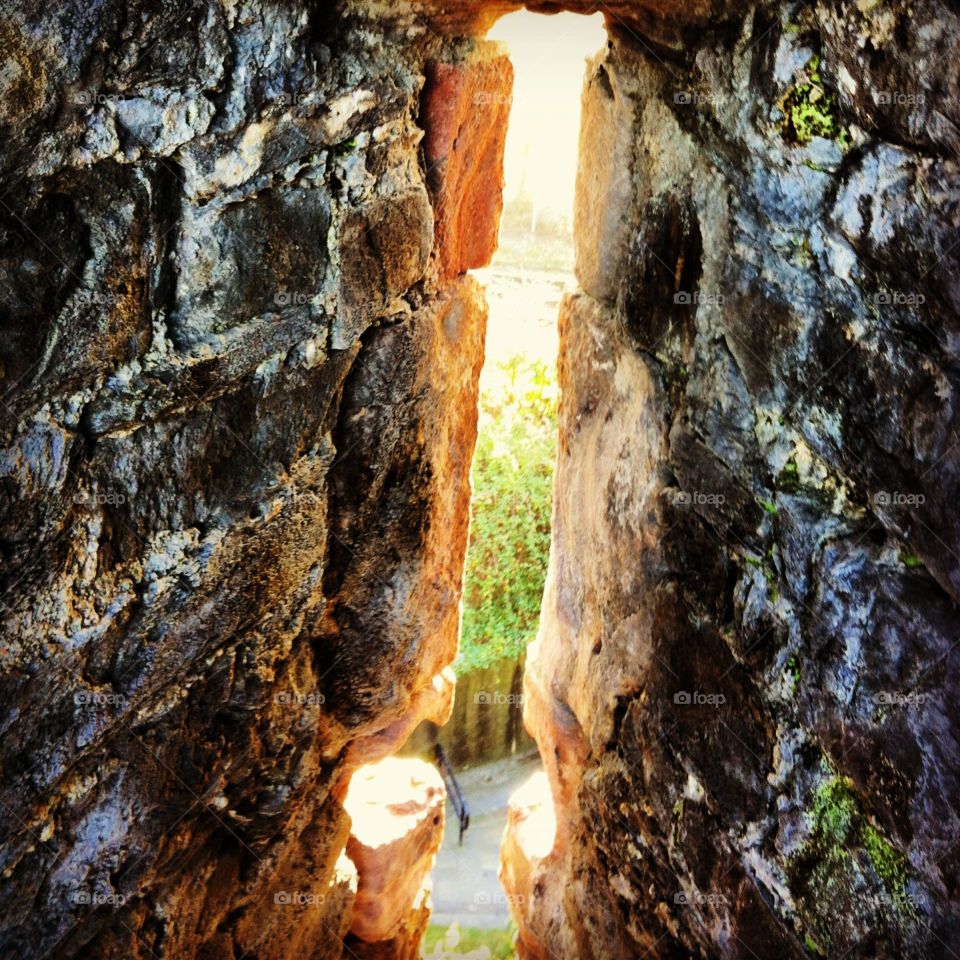 light wall grass window by keelyt90