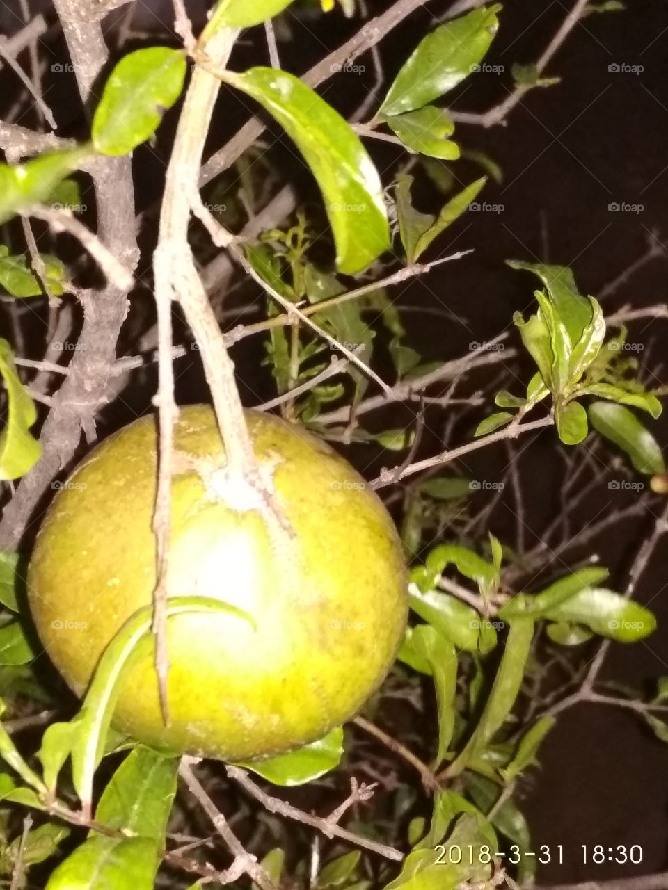 ............. nothing to say........... am not behind money man!!