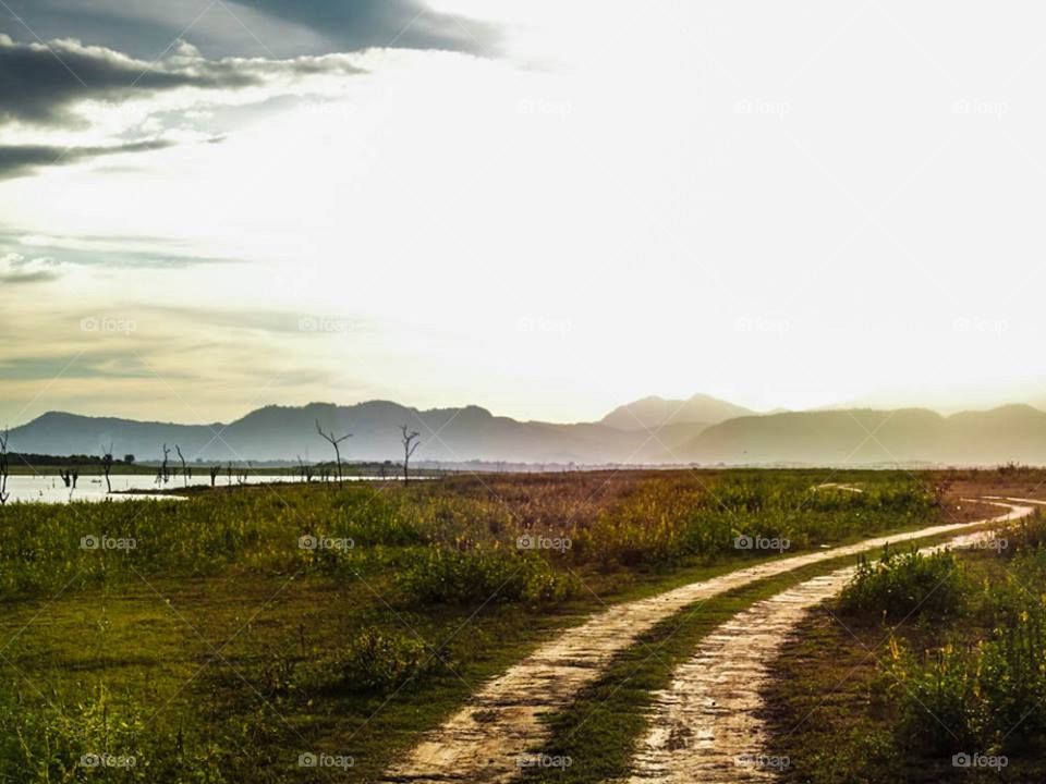 Sunsetting in the evening