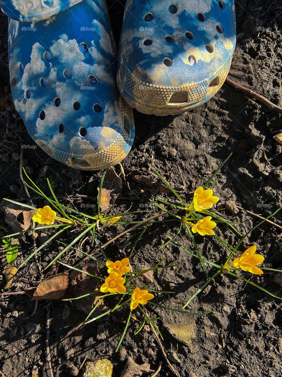 Sheila simple and vivid picture with wine of spring and childhood somewhere in a grandma’s garden