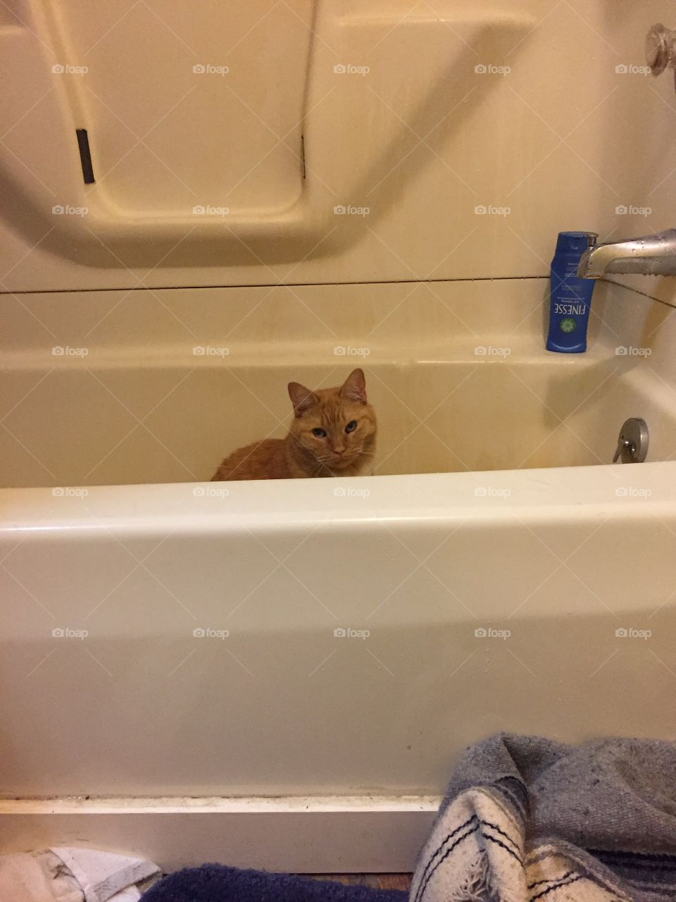 Maybe bath? 