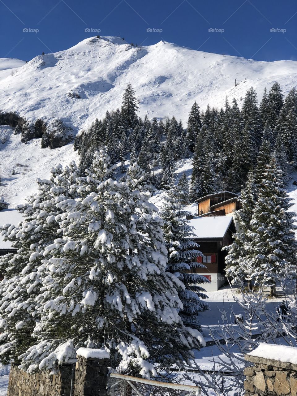 Winter in der Schweiz Swiss 