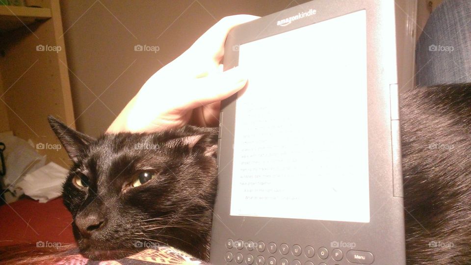 Reading Buddy. I can read long with an attention desperate feline joining me.