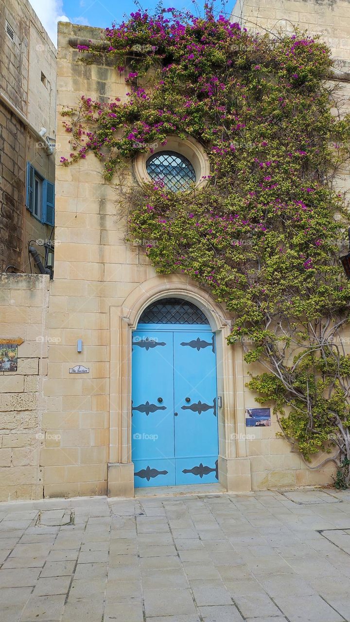 Old town living wall