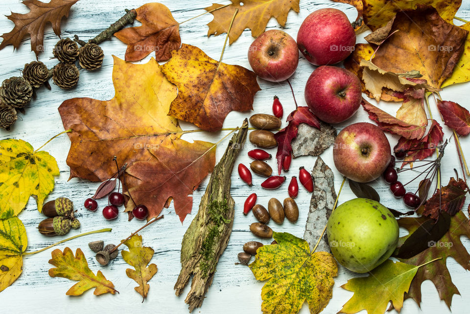 top view on white rustic, wooden background with autumn leaves, fall fruits