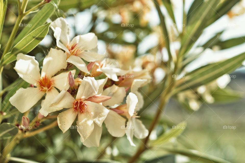 Travel: Zakynthos, Greece