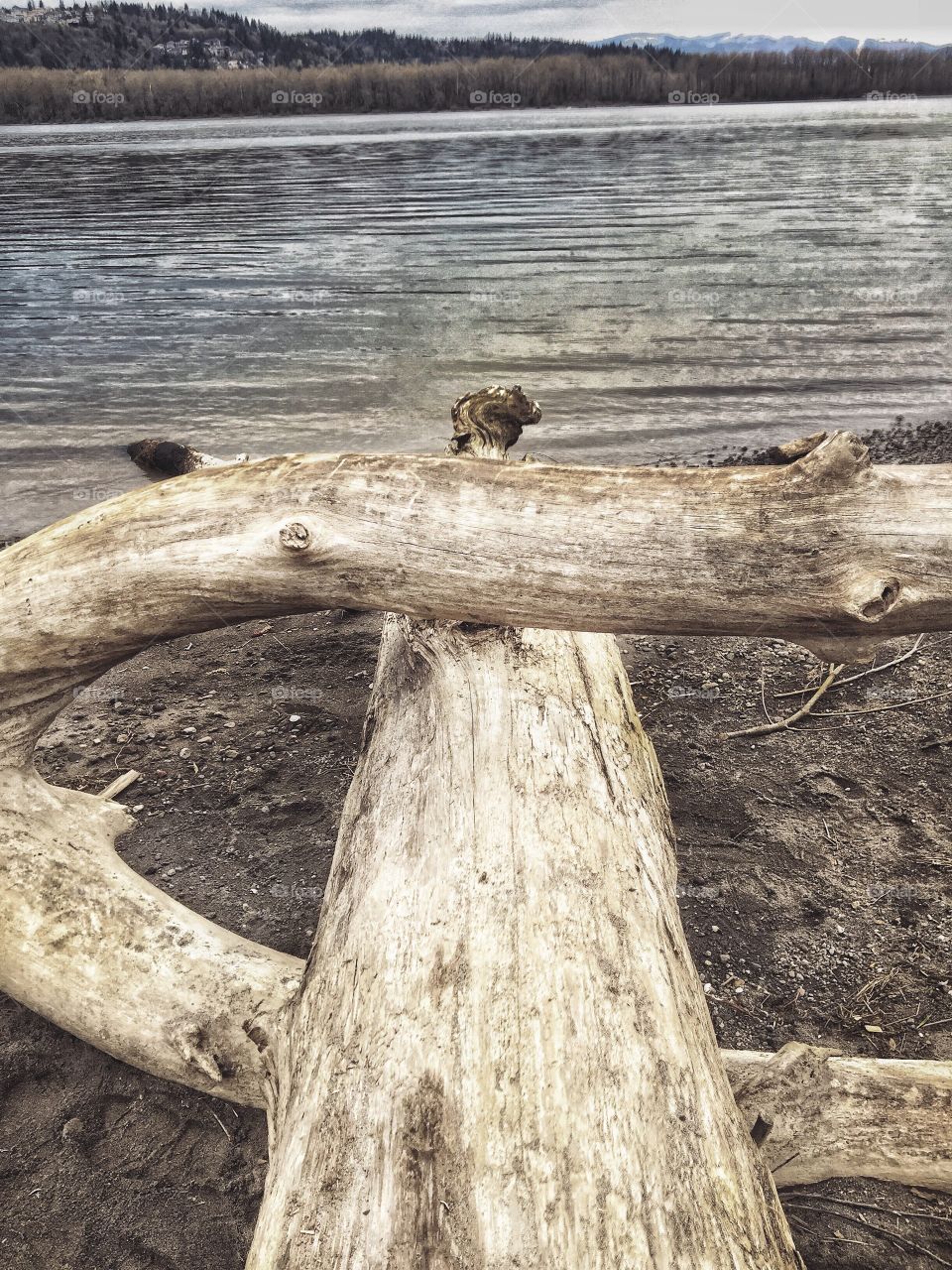 Driftwood Puzzle