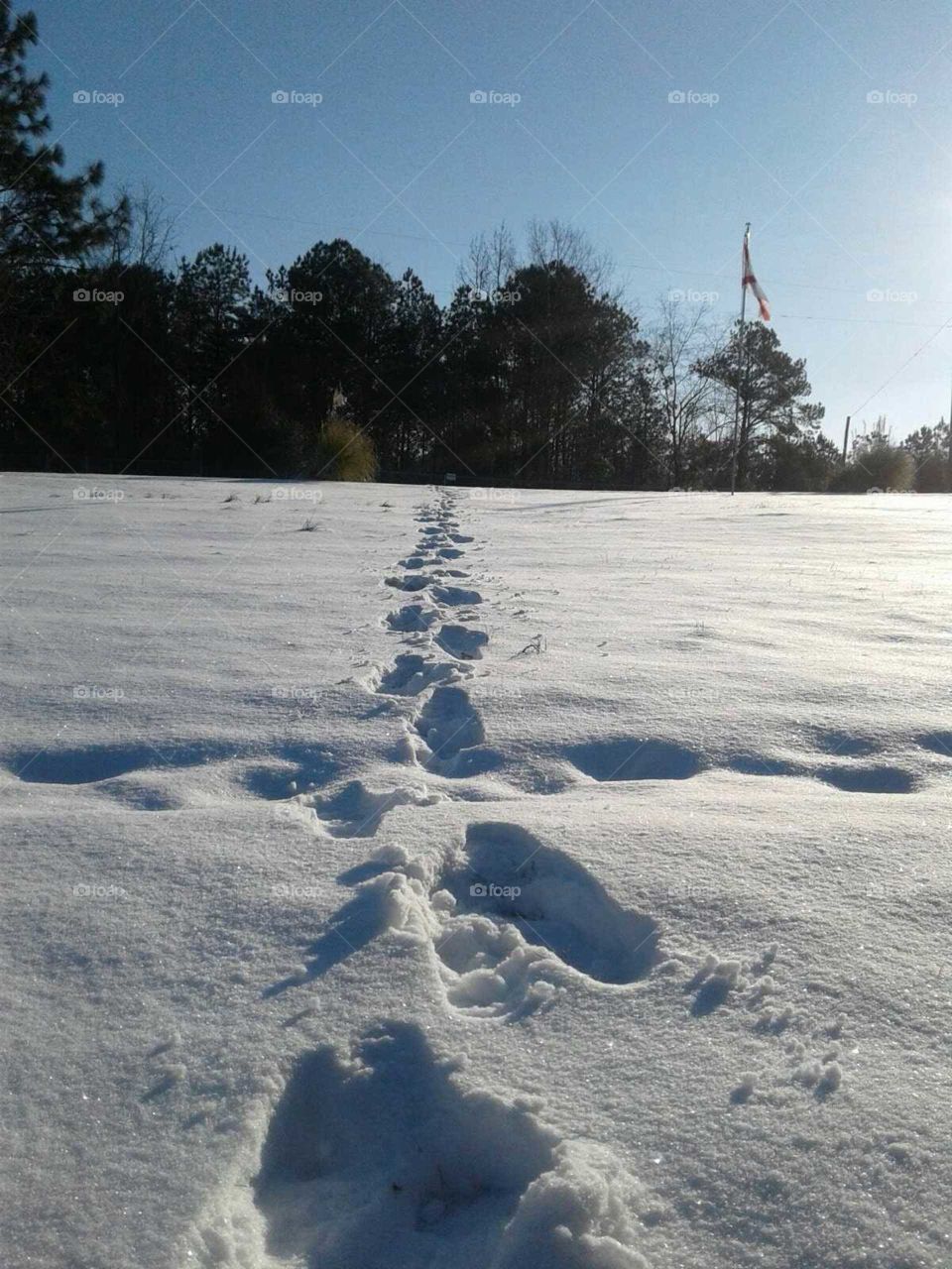 Footprints in a white wonderland