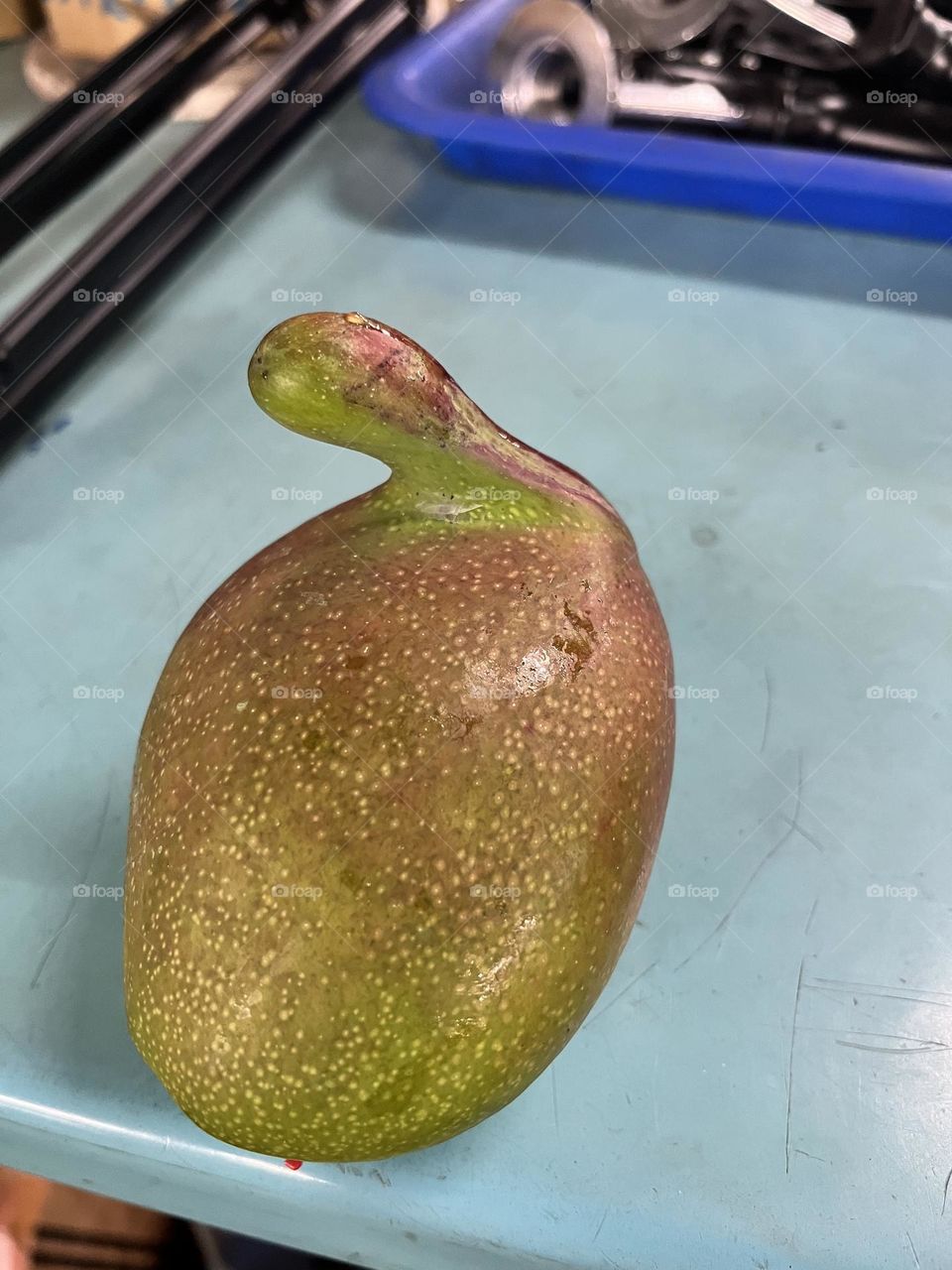 Curiously Shaped Mango