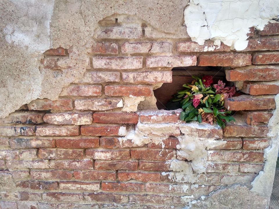 Brick wall and flowers