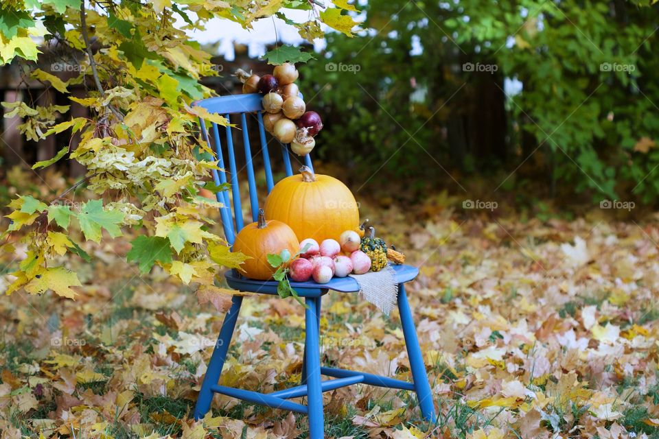 autumn, pumpkins time