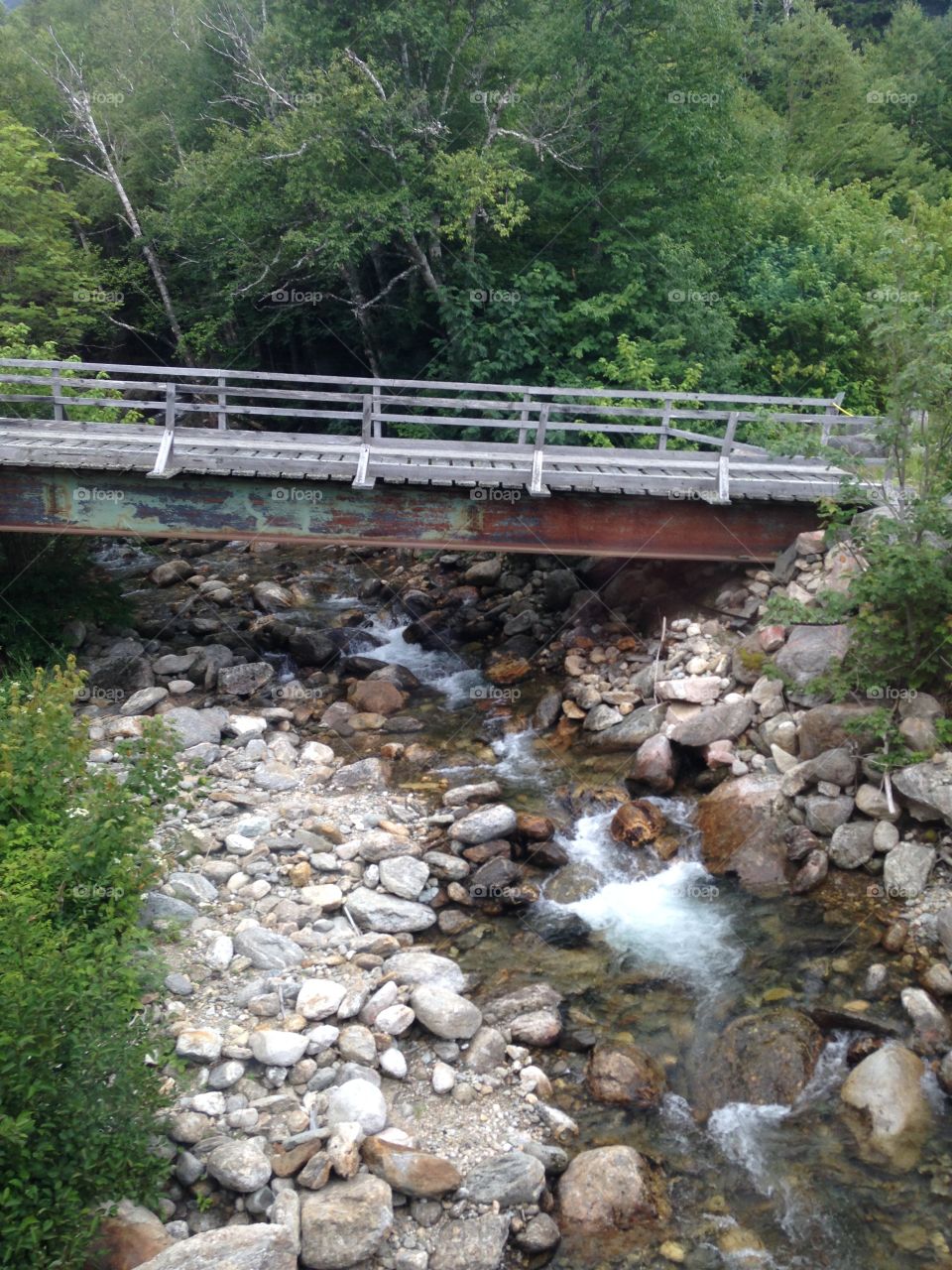 Bridge and stream