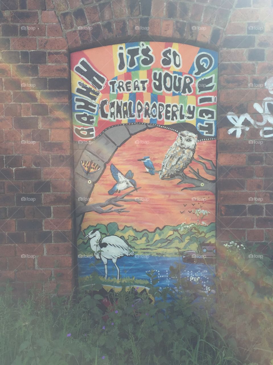 When art meets nature 