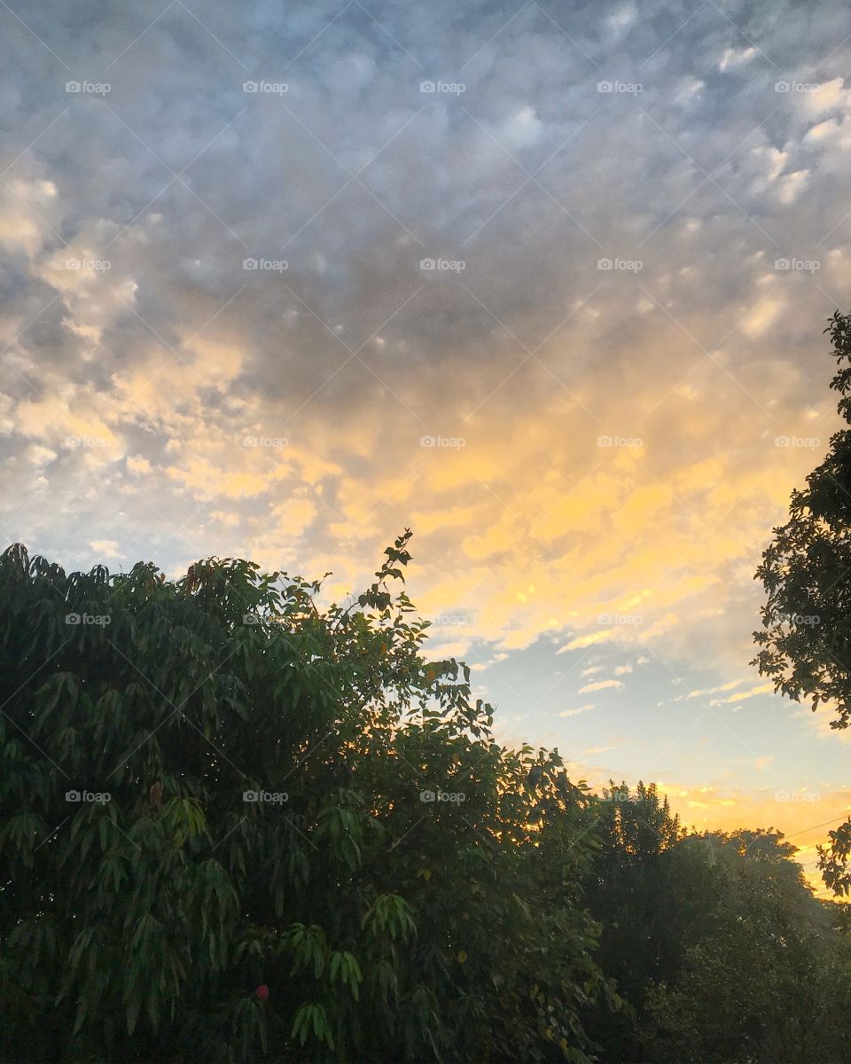 🌅Desperte, #SegundaFeira!
Cores bonitas para animar a semana.
🍃
#sol #sun #sky #céu #photo #nature #morning #alvorada #natureza #horizonte #fotografia #pictureoftheday #paisagem #inspiração #amanhecer #mobgraphy #mobgrafia #Jundiaí #AmoJundiaí