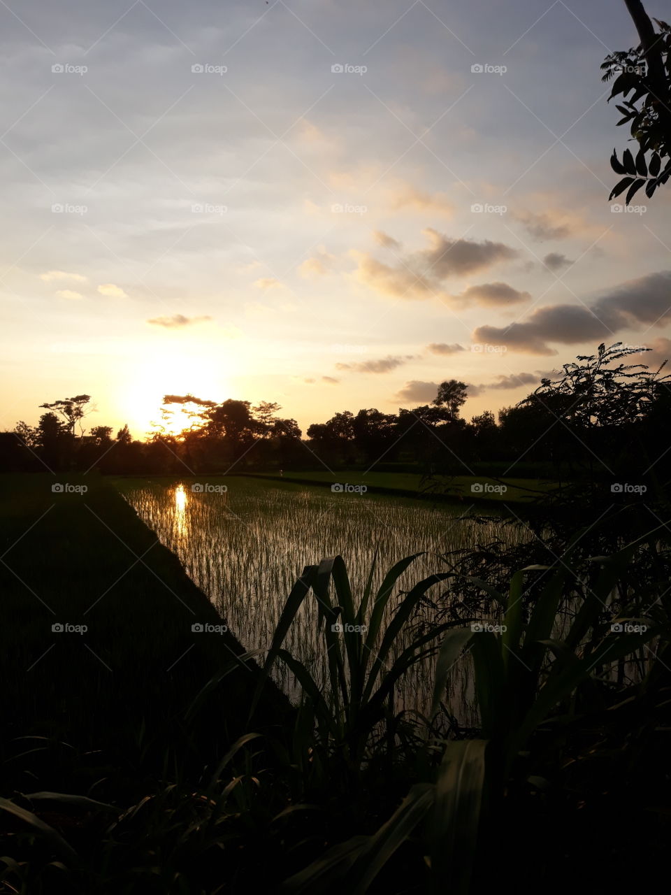 the reflection of the morning sun light is under consideration