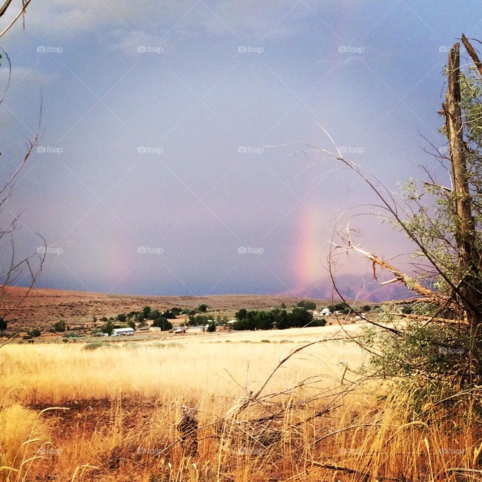 Half double Rainbows