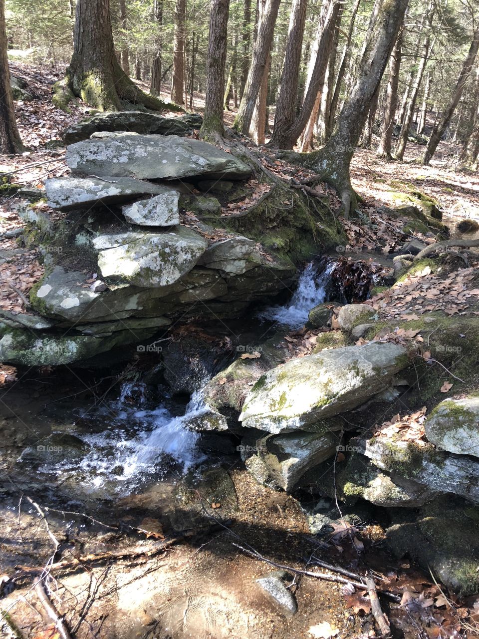 Little Waterfall... Love the sound of moving water.