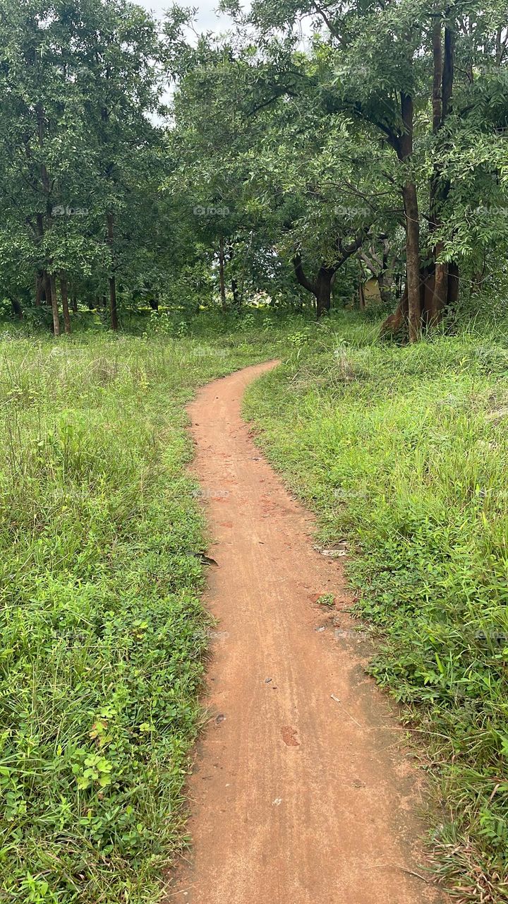 Pathway leads to your precious dreams