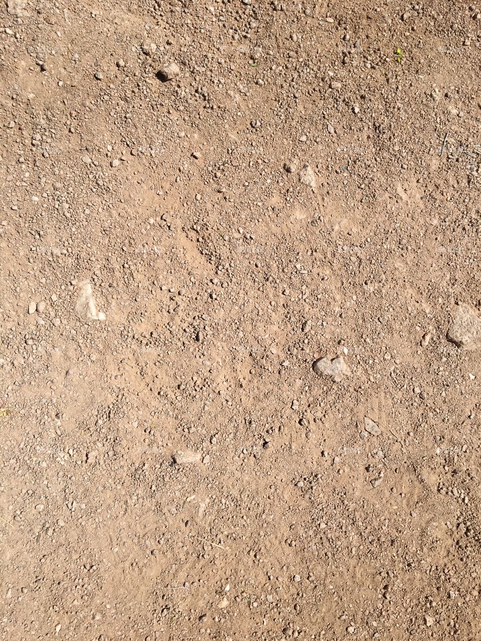 Dirt.