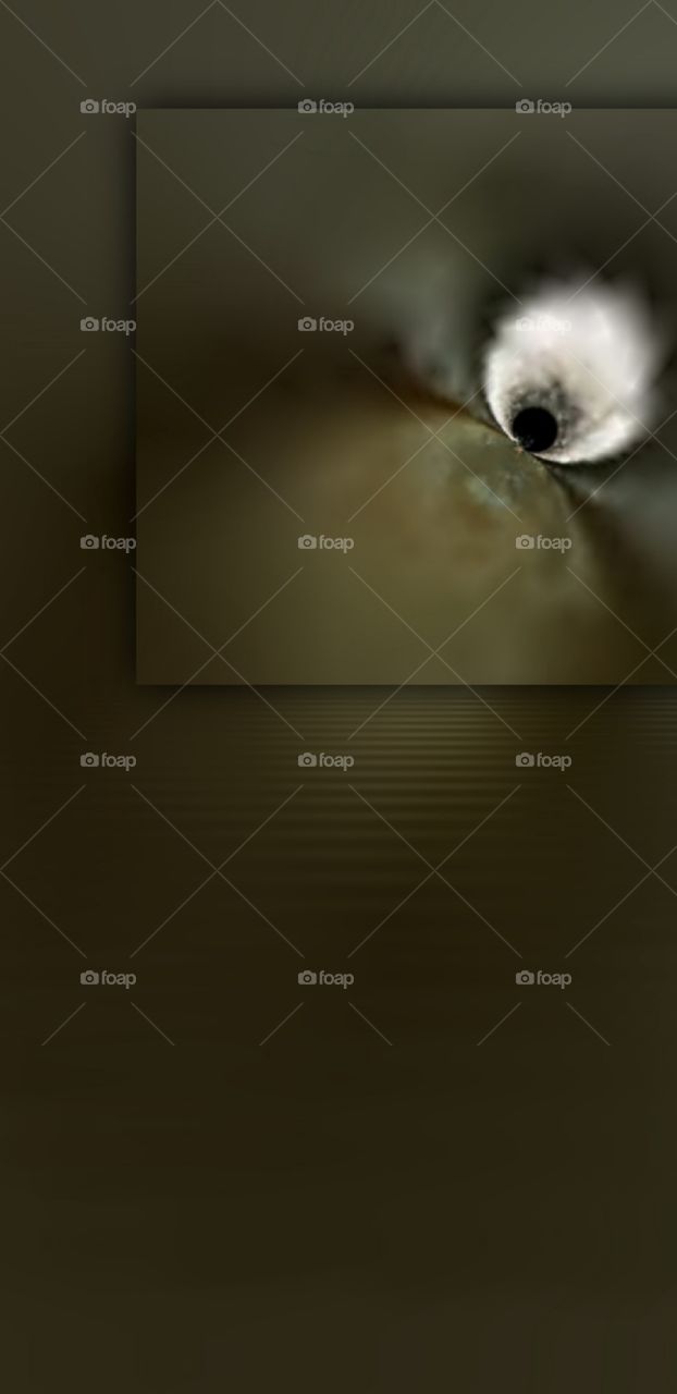 Reflection Mirroring