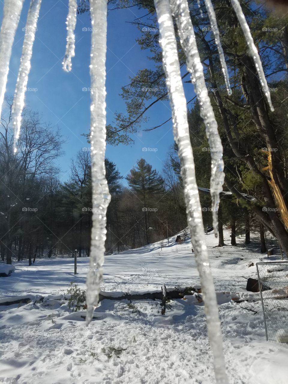 winter icicles