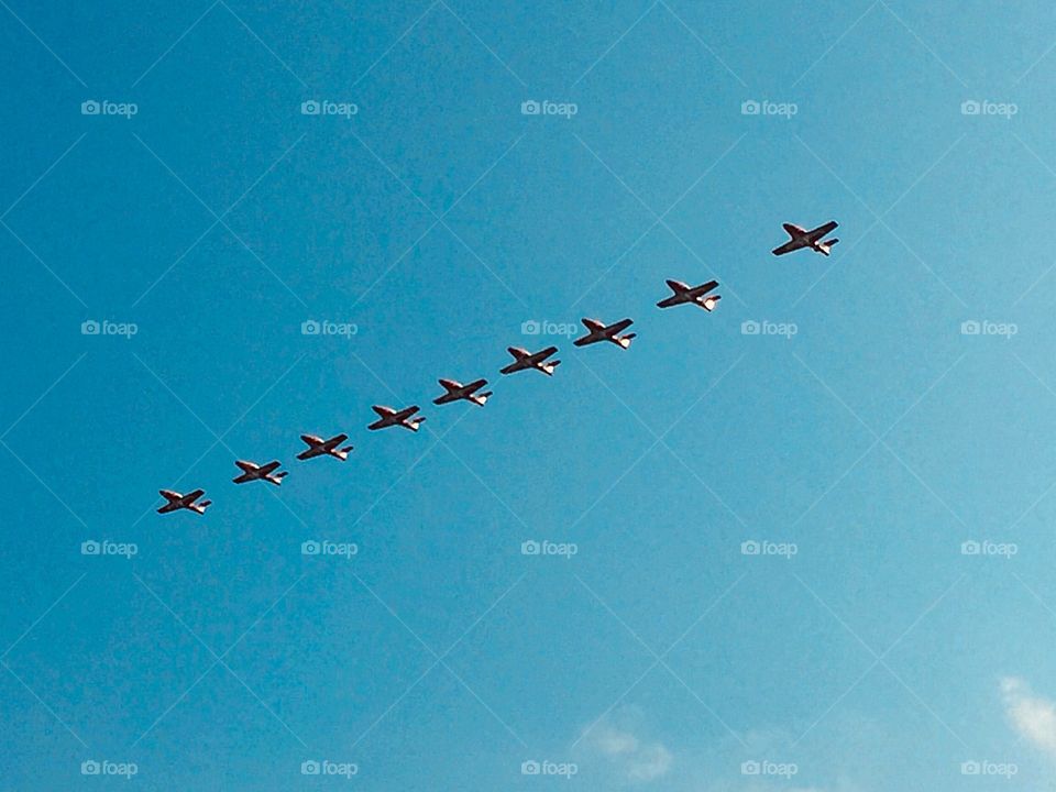 The Snowbirds