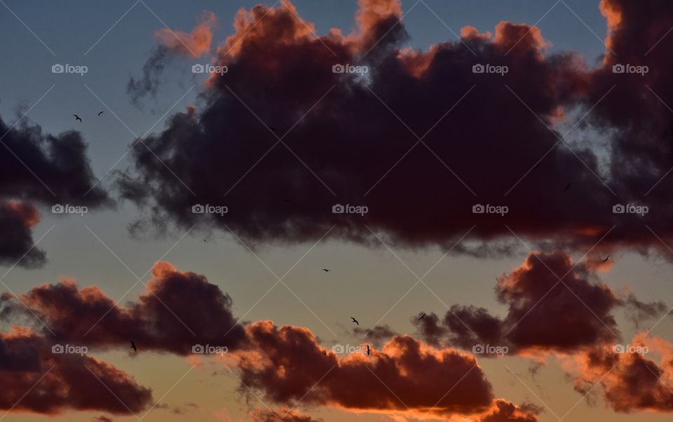 sunset clouds on the evening sky background