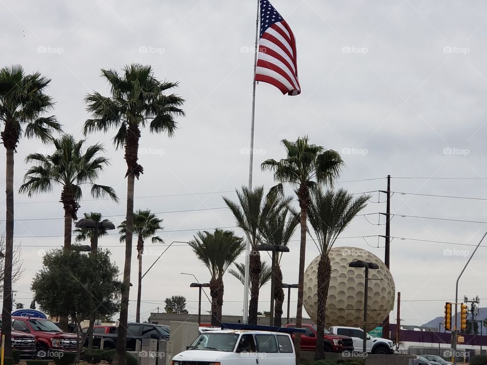 flag among the palm trees