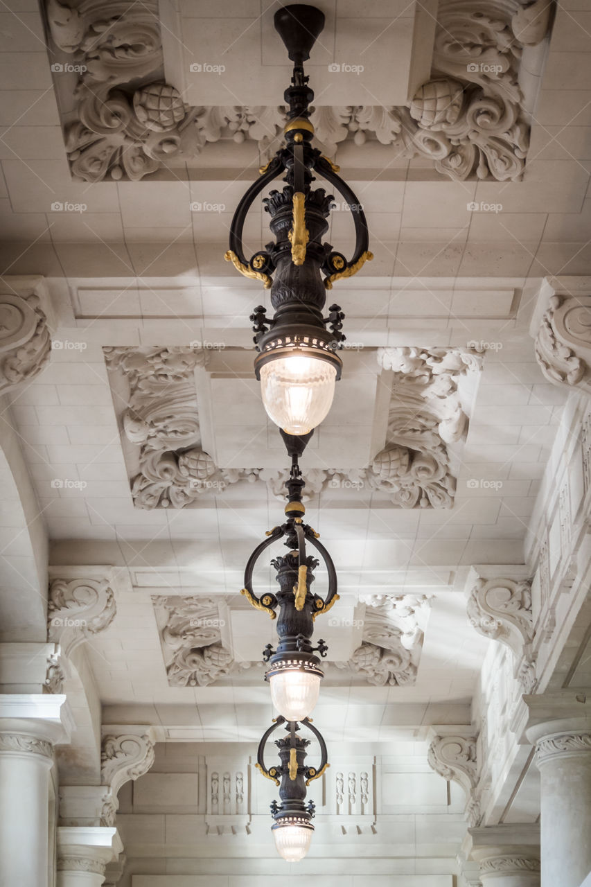 Elegant Parisian ceiling 