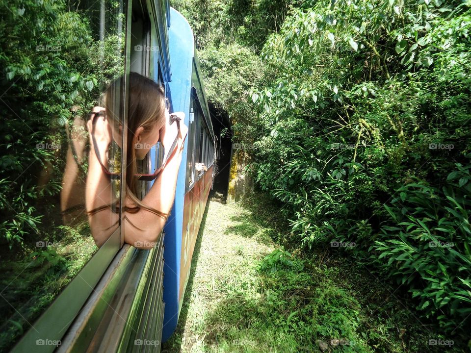 traveling by train and photographing nature